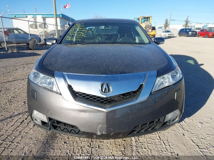 2009 Acura Tl VIN: 19UUA96559A801196 Lot: 12448149