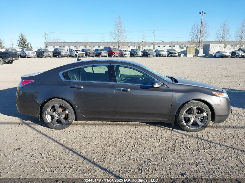 2009 Acura Tl VIN: 19UUA96559A801196 Lot: 12448149