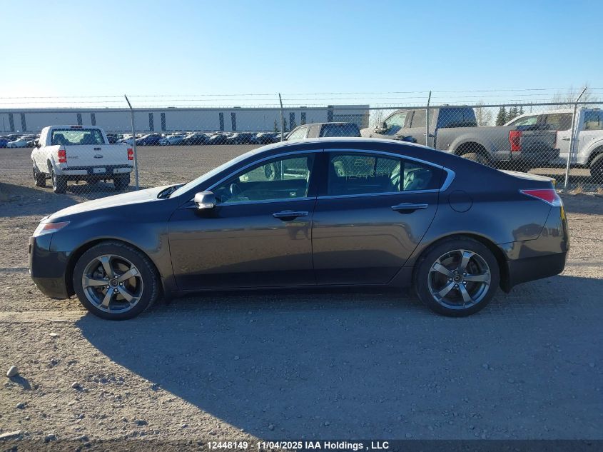 2009 Acura Tl VIN: 19UUA96559A801196 Lot: 12448149