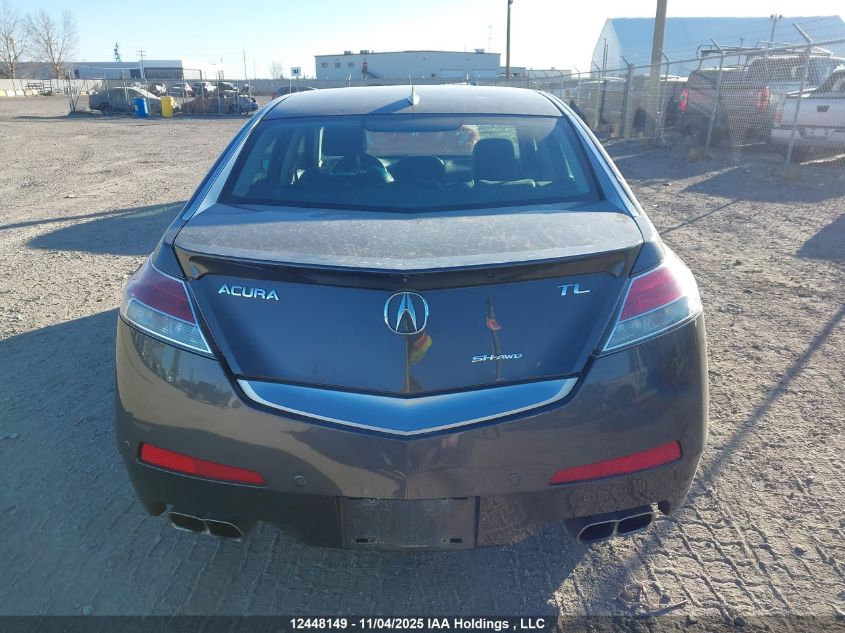 2009 Acura Tl VIN: 19UUA96559A801196 Lot: 12448149