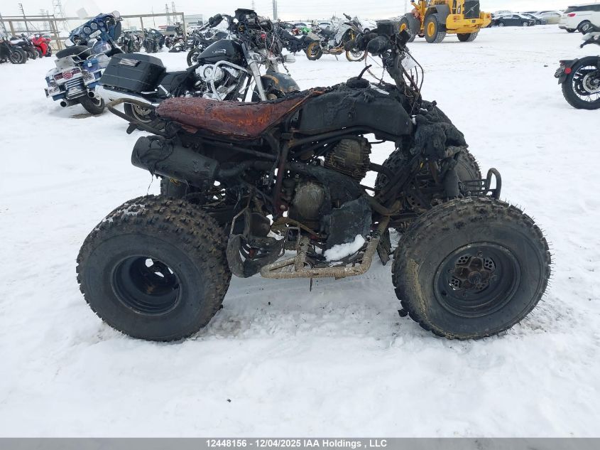 2009 Yamaha Yfm250 R VIN: JY4AG04W29C001112 Lot: 12448156