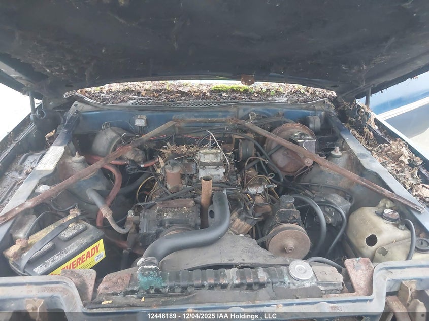 A7C167N150231 1977 AMC MATADOR photo no. 10