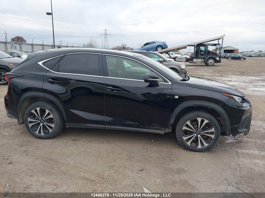 2019 Lexus Nx 300 VIN: JTJBARBZ2K2204227 Lot: 12448279