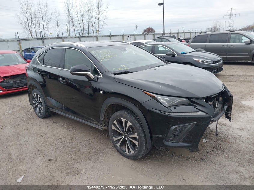 JTJBARBZ2K2204227 2019 Lexus Nx 300 auction photo 1