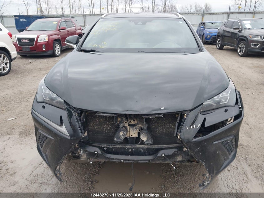 2019 Lexus Nx 300 VIN: JTJBARBZ2K2204227 Lot: 12448279