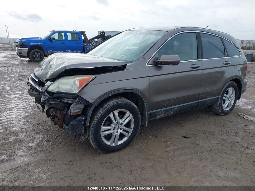 5J6RE4H78AL804512 2010 HONDA CR-V photo no. 2