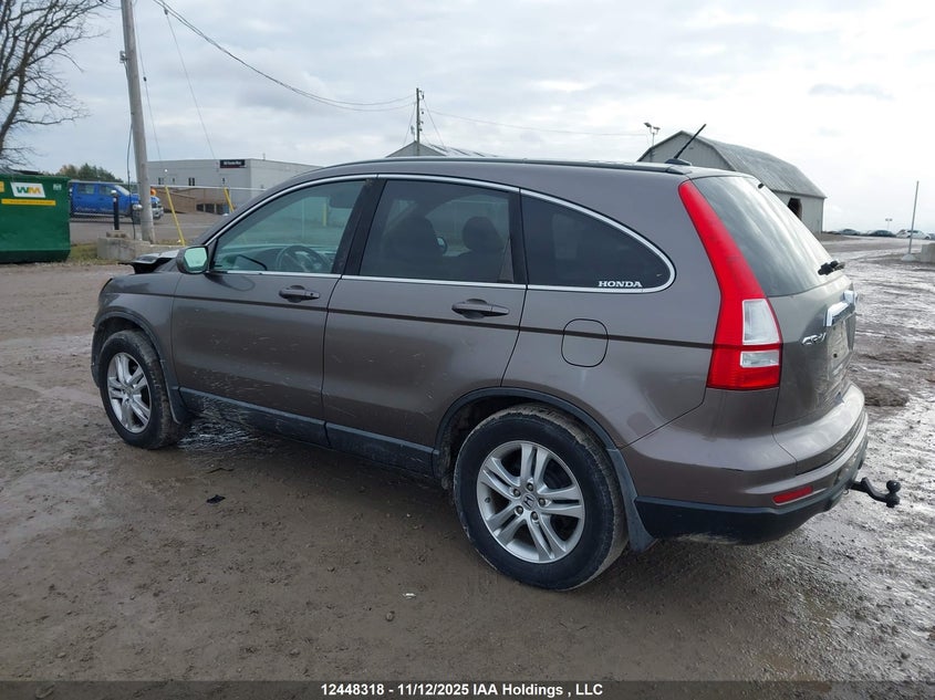 5J6RE4H78AL804512 2010 HONDA CR-V photo no. 3