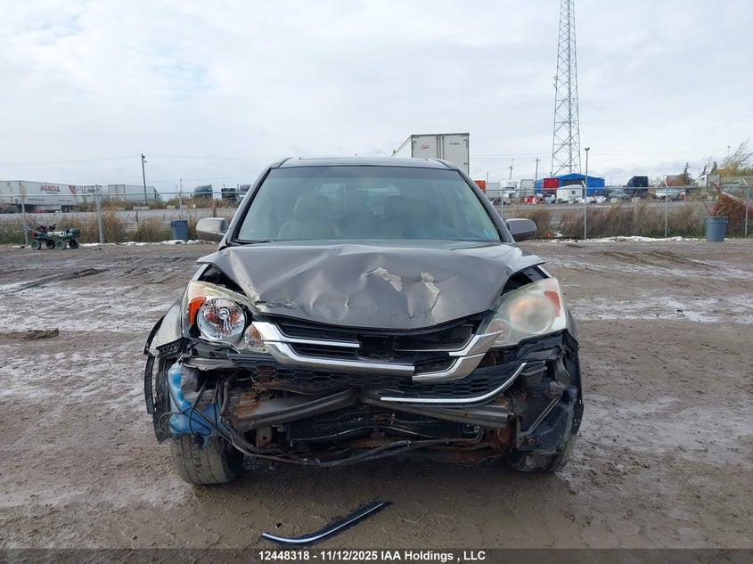 5J6RE4H78AL804512 2010 HONDA CR-V photo no. 6