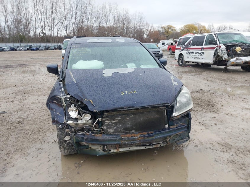 2006 Honda Odyssey Ex-L VIN: 5FNRL38716B508747 Lot: 12448488