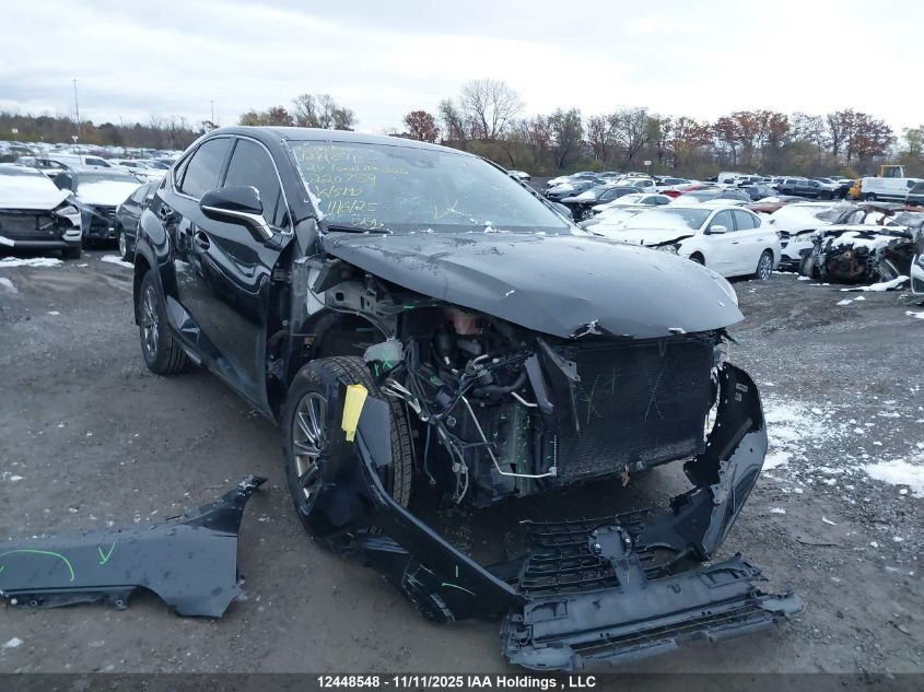 2020 Lexus Nx 300 Base/300 Luxury/300 F Sport VIN: JTJAARDZ2L2220759 Lot: 12448548