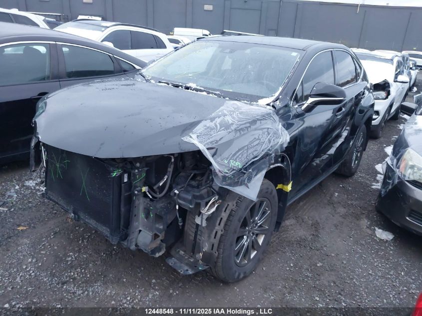 2020 Lexus Nx 300 Base/300 Luxury/300 F Sport VIN: JTJAARDZ2L2220759 Lot: 12448548