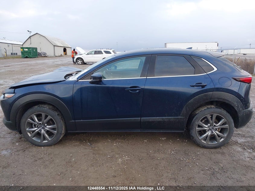 2021 Mazda Cx-30 Premium VIN: 3MVDMBDL3MM238481 Lot: 12448554