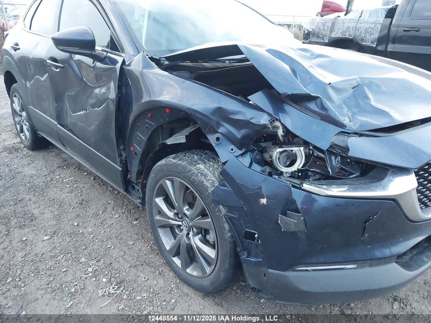 2021 Mazda Cx-30 Premium VIN: 3MVDMBDL3MM238481 Lot: 12448554