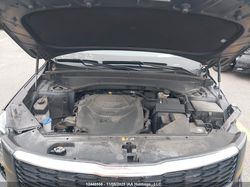 2022 Kia Telluride Sx VIN: 5XYP5DHC8NG238458 Lot: 12448558