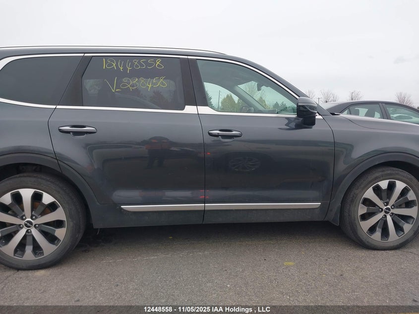 2022 Kia Telluride Sx VIN: 5XYP5DHC8NG238458 Lot: 12448558