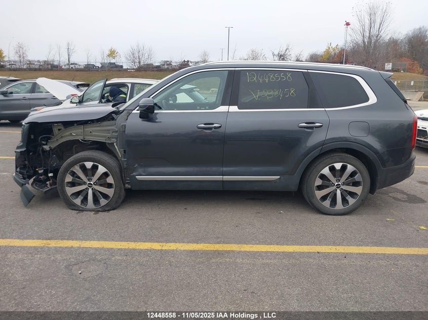 2022 Kia Telluride Sx VIN: 5XYP5DHC8NG238458 Lot: 12448558
