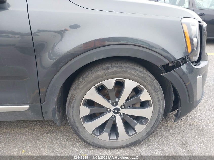 2022 Kia Telluride Sx VIN: 5XYP5DHC8NG238458 Lot: 12448558