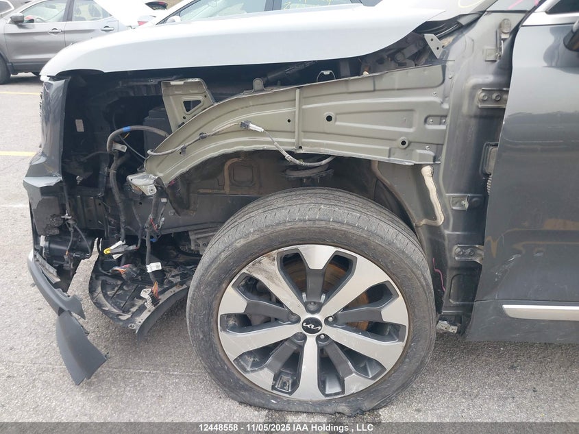 2022 Kia Telluride Sx VIN: 5XYP5DHC8NG238458 Lot: 12448558