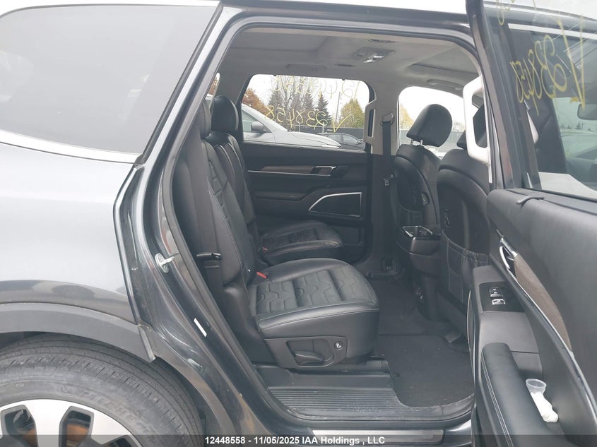 2022 Kia Telluride Sx VIN: 5XYP5DHC8NG238458 Lot: 12448558