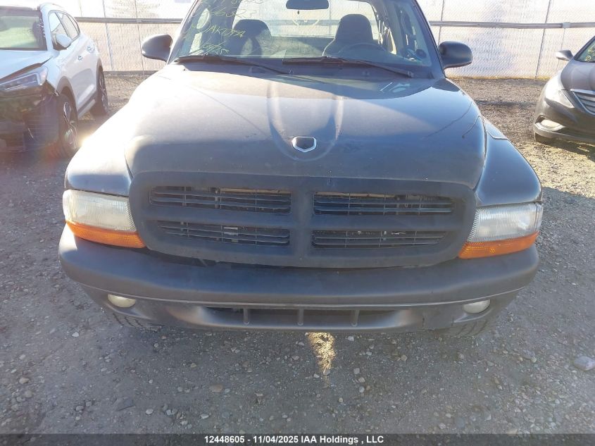 2004 Dodge Dakota Sport VIN: 1D7HG32N84S666323 Lot: 12448605