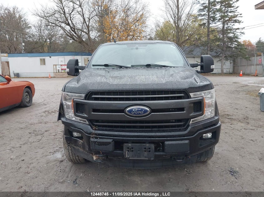 1FTFW1E50LFB93707 2020 FORD F-150 photo no. 12