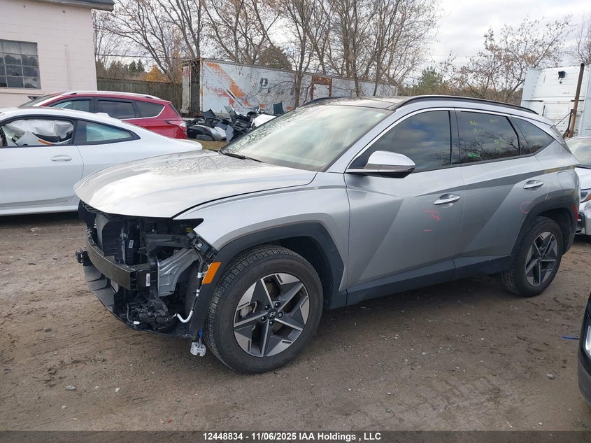 2025 Hyundai Tucson Sel VIN: 5NMJCCDE9SH484093 Lot: 12448834