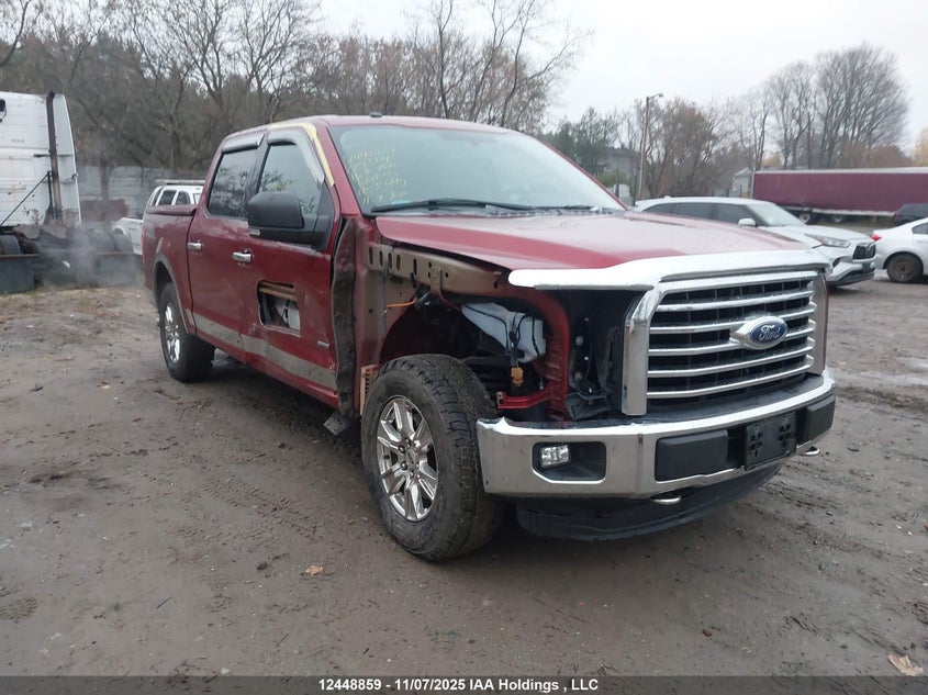 1FTEW1EP7GFC68504 2016 Ford F-150 Xlt auction photo 1