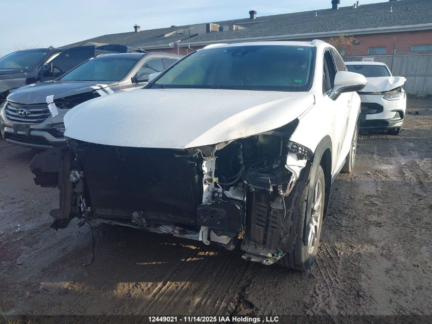 2020 Lexus Nx 300 VIN: JTJGARDZ9L5008966 Lot: 12449021