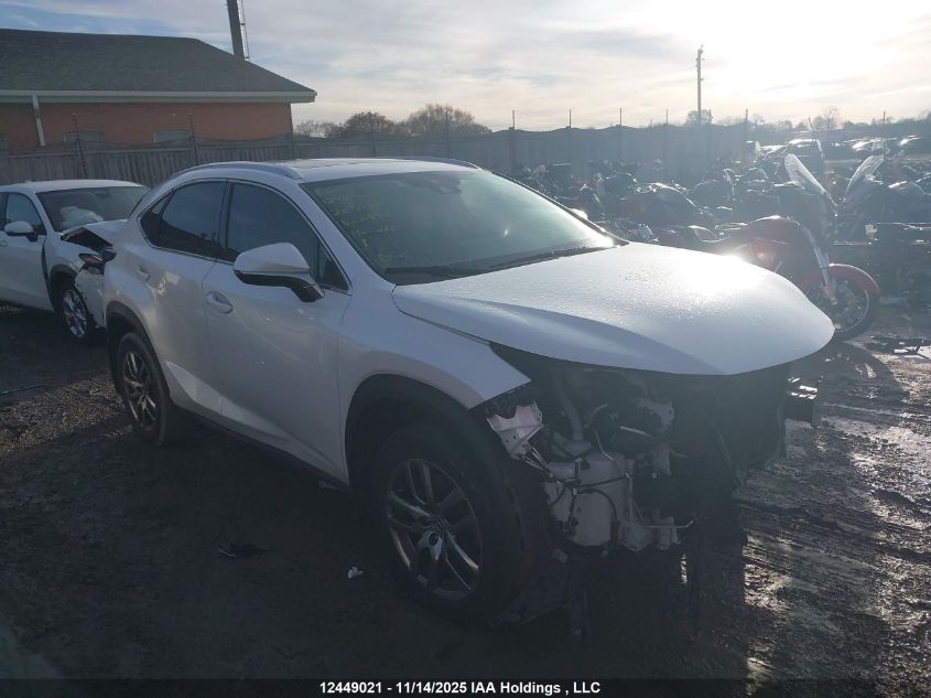 2020 Lexus Nx 300 VIN: JTJGARDZ9L5008966 Lot: 12449021