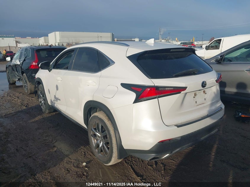 JTJGARDZ9L5008966 2020 LEXUS NX photo no. 3