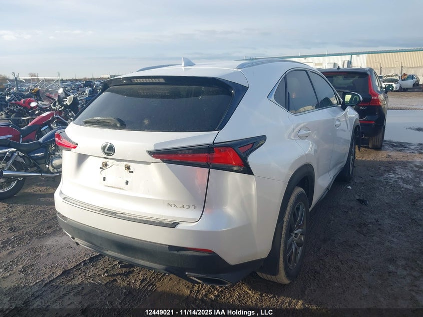 JTJGARDZ9L5008966 2020 LEXUS NX photo no. 4