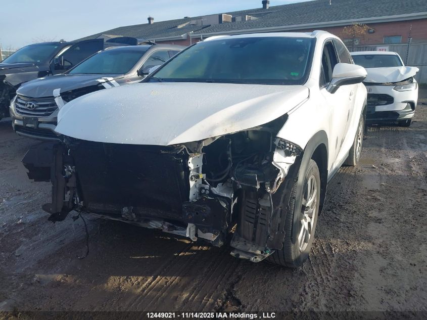 2020 Lexus Nx 300 VIN: JTJGARDZ9L5008966 Lot: 12449021