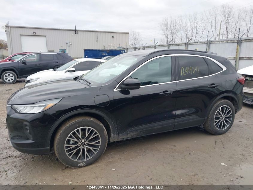 2025 Ford Escape VIN: 1FMCU0E18SUB25242 Lot: 12449041