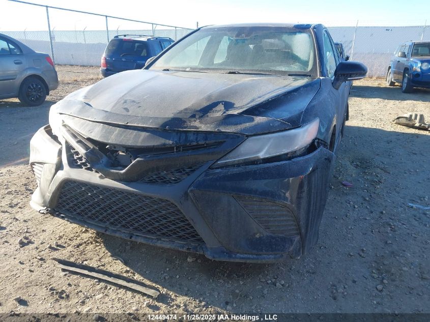 2019 Toyota Camry L/Le/Xle/Se/Xse VIN: 4T1B11HK9KU165618 Lot: 12449474