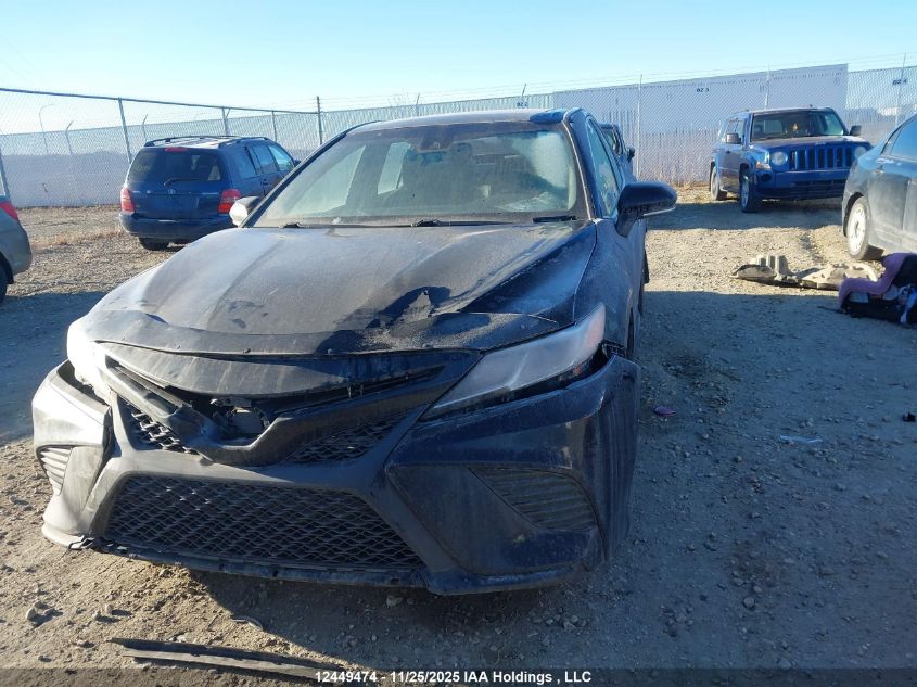 2019 Toyota Camry L/Le/Xle/Se/Xse VIN: 4T1B11HK9KU165618 Lot: 12449474