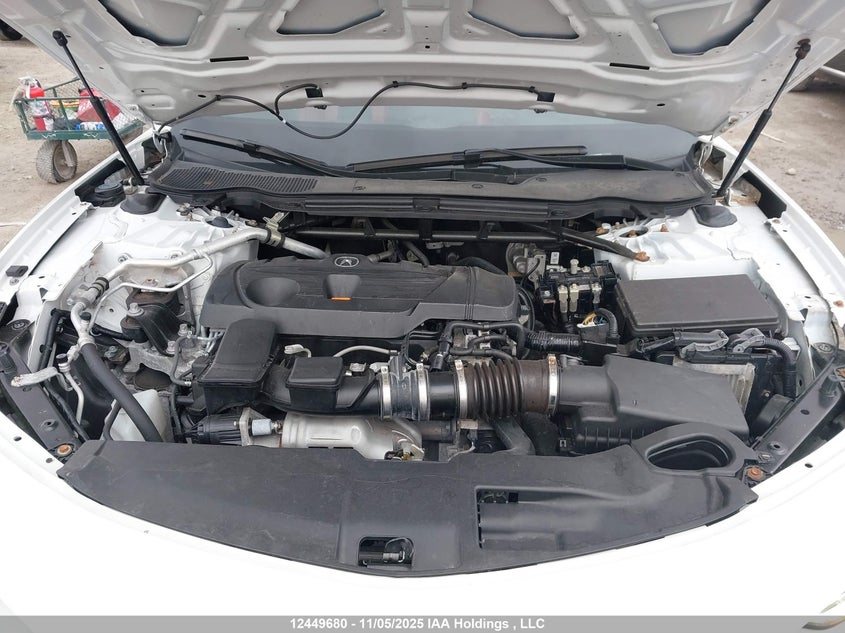 2021 Acura Tlx A-Spec VIN: 19UUB6F51MA801796 Lot: 12449680