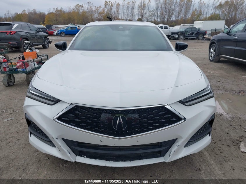 2021 Acura Tlx A-Spec VIN: 19UUB6F51MA801796 Lot: 12449680