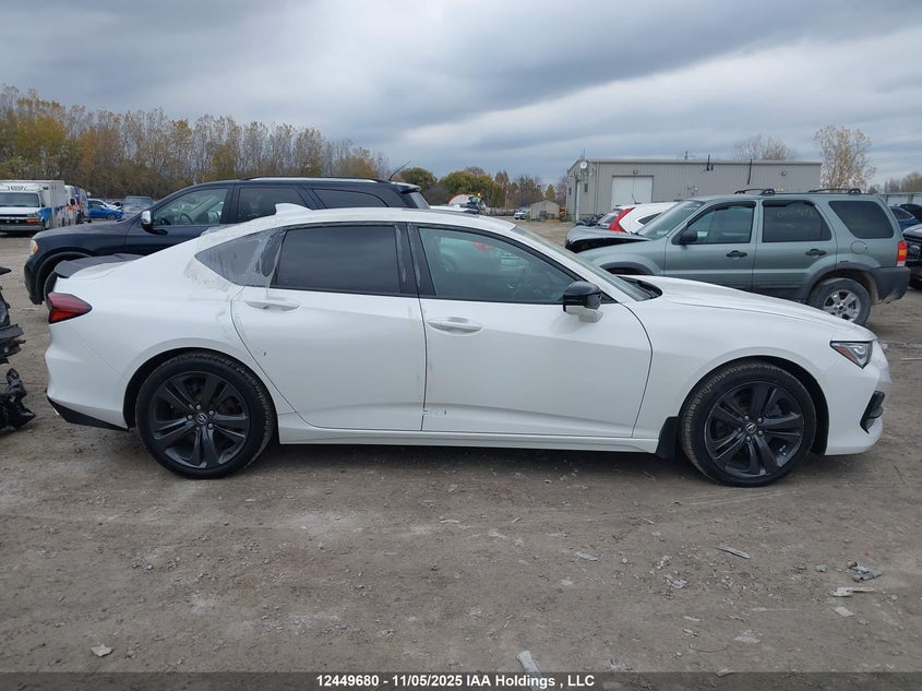 2021 Acura Tlx A-Spec VIN: 19UUB6F51MA801796 Lot: 12449680