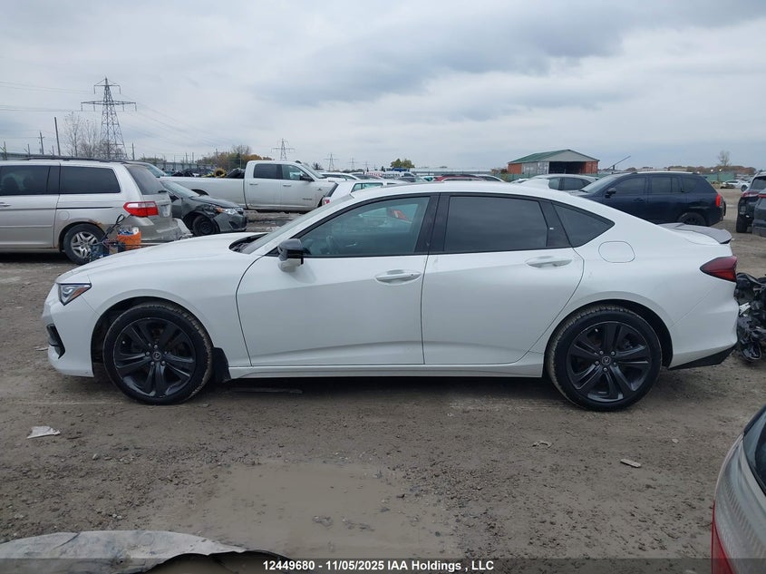 2021 Acura Tlx A-Spec VIN: 19UUB6F51MA801796 Lot: 12449680