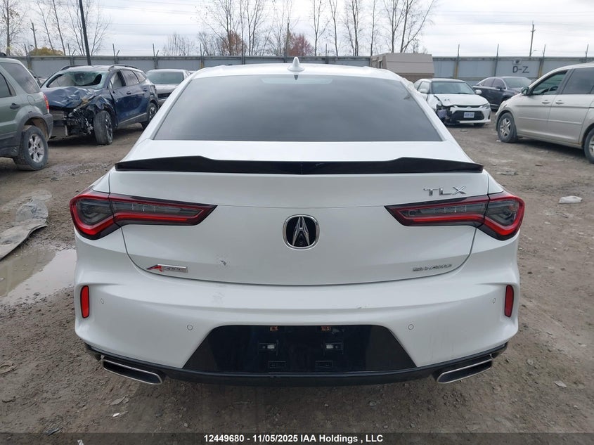 2021 Acura Tlx A-Spec VIN: 19UUB6F51MA801796 Lot: 12449680