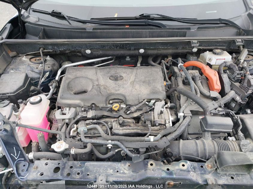 2021 Toyota Rav4 VIN: 2T3RWRFV6MW119962 Lot: 12449731