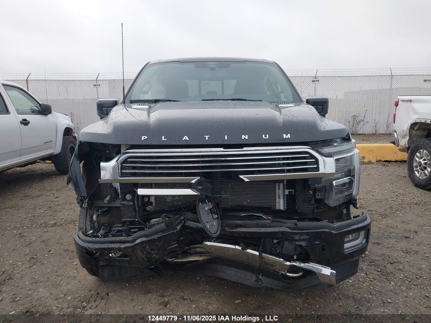 1FTFW7LD4RFB66709 2024 FORD F-150 photo no. 13