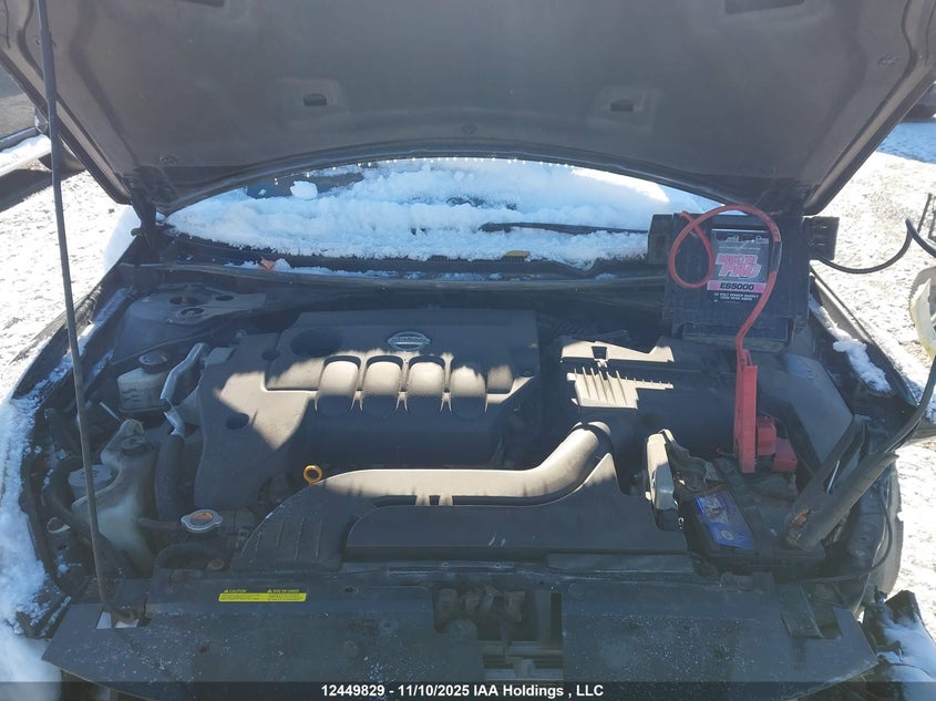 2010 Nissan Altima VIN: 1N4AL2AP3AC175352 Lot: 12449829