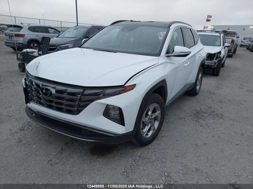 KM8JCCDE6RU353671 2024 HYUNDAI TUCSON photo no. 2