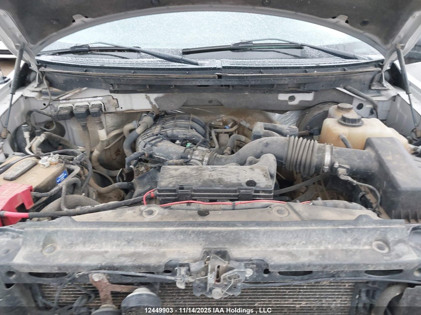 2011 Ford F-150 Xl VIN: 1FTMF1CMXBFB79328 Lot: 12449903