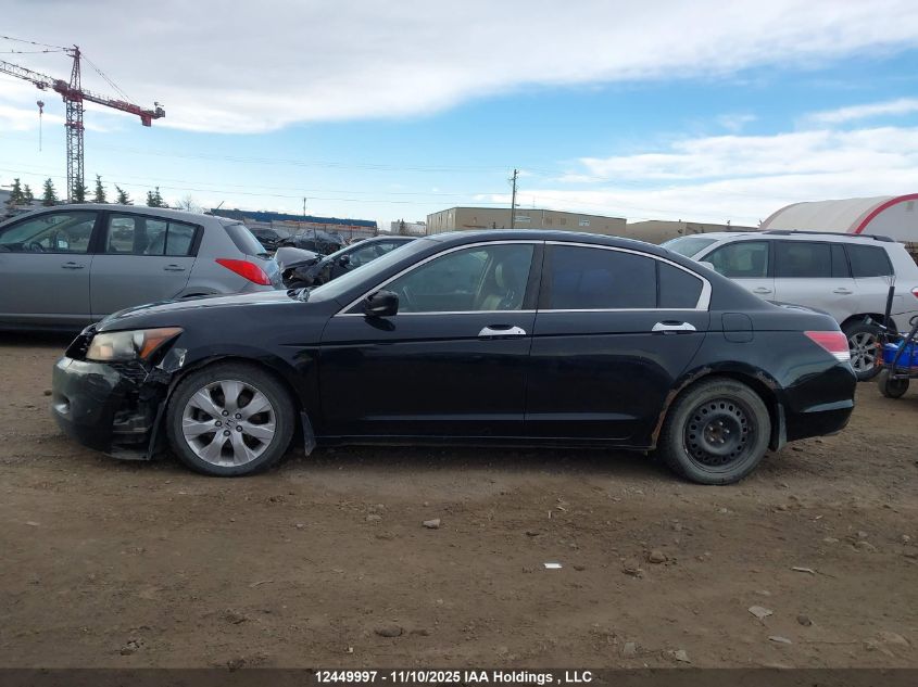 2008 Honda Accord Exl VIN: 1HGCP36898A800844 Lot: 12449997