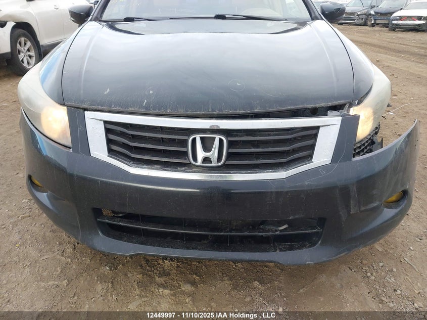 2008 Honda Accord Exl VIN: 1HGCP36898A800844 Lot: 12449997