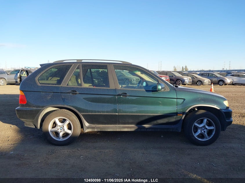 2003 BMW X5 3.0I VIN: 5UXFA53593LV87375 Lot: 12450098