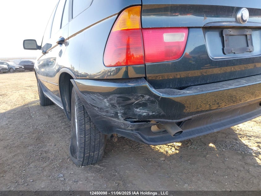 2003 BMW X5 3.0I VIN: 5UXFA53593LV87375 Lot: 12450098