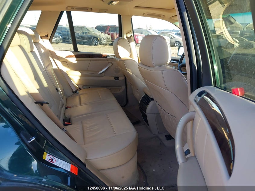 2003 BMW X5 3.0I VIN: 5UXFA53593LV87375 Lot: 12450098